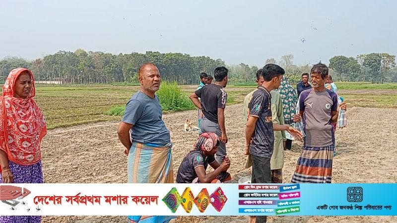 মেহেরপুরে বিষ প্রয়োগে লাল শাক পুড়িয়ে দেওয়ার অভিযোগ  