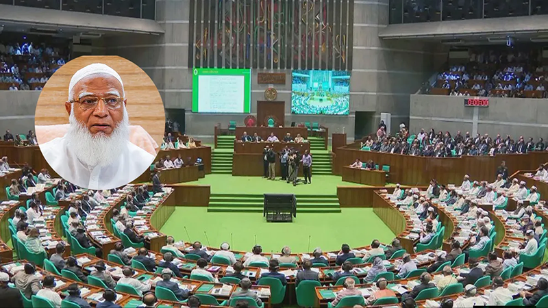 ৩০ দিন অতিবাহিত হলেও বসেনি সংবিধান সংস্কার পরিষদ: সংসদে বিরোধীদলীয় নেতা