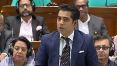 এই সংসদের সৌন্দর্য হলো, স্বৈরাচারের পক্ষের কোনো মানুষ এখানে নেই: পার্থ