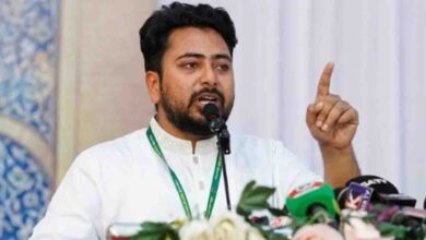 রাষ্ট্রপতি চুপ্পুকে অপসারণ করে গ্রেফতার করতে হবে: নাহিদ ইসলাম