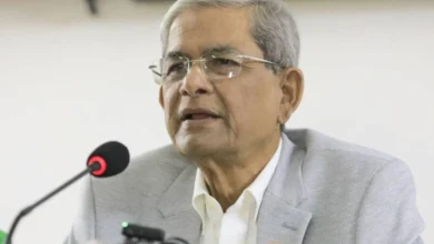 ‘জুলাই সনদের যেসব বিষয়ে বিএনপি একমত হয়েছিল, সরকার সেসব বাস্তবায়নে প্রতিশ্রুতিবদ্ধ’