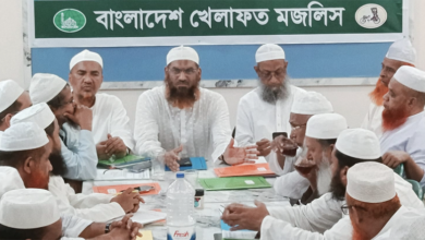 গণভোটের রায় অমান্য করে স্বৈরাচারের পথে বিএনপি: মামুনুল হক