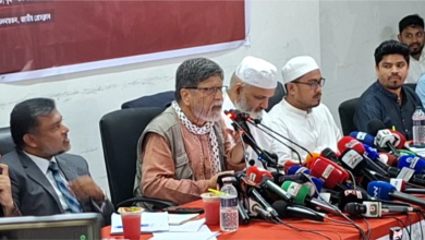 জুলাই সনদ দেশকে মেরামত করতে চায়: শহিদুল আলম