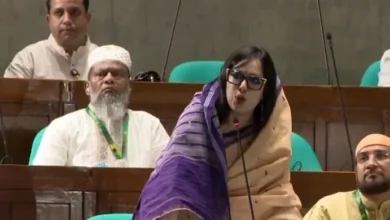 সংসদে আমির হামজার বিচার চাইলেন রুমিন ফারহানা